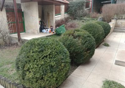 Kertfenntartás Buda