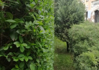 Kertfenntartás Buda