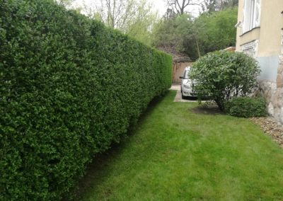 Kertfenntartás Buda