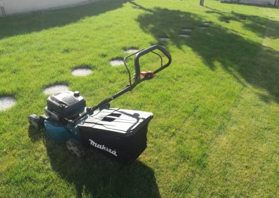 Fűnyírás Kertfenntartás Buda