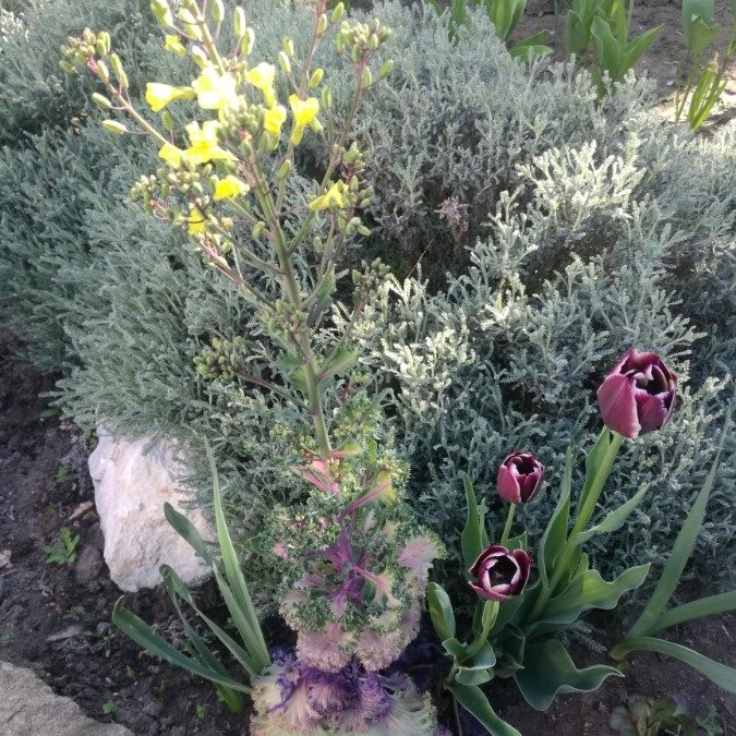 Három módja, hogy kiírtsuk kertünk növényeit