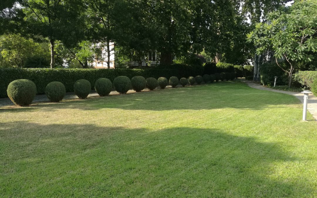 10 egyszerű tipp a gyönyörű kert fenntartásához, avagy hogyan könnyítsük meg a kertészkedést?